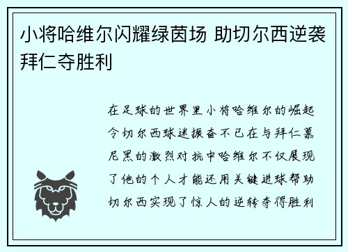 小将哈维尔闪耀绿茵场 助切尔西逆袭拜仁夺胜利