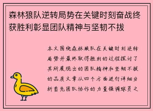 森林狼队逆转局势在关键时刻奋战终获胜利彰显团队精神与坚韧不拔