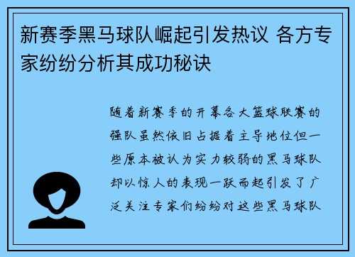 新赛季黑马球队崛起引发热议 各方专家纷纷分析其成功秘诀