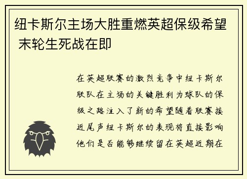 纽卡斯尔主场大胜重燃英超保级希望 末轮生死战在即